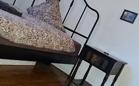 Gemuetliches Zimmer In Einer Altbauwohnung In Der Stadt